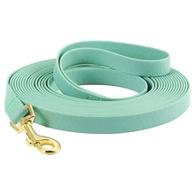 Waterproof PVC Dog Leash in Green