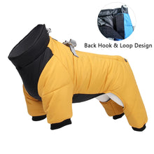 Waterproof Winter Dog Jacket, product photo 3 of 10