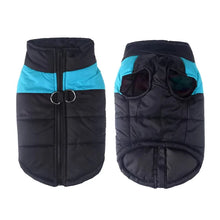 Waterproof Winter Pet Coat in Blue