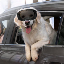 Wide View Dog Goggles, product photo 5 of 9