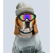 Wind And Snow Pet Goggles, product photo 13 of 13