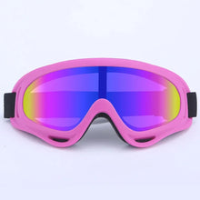 Wind And Snow Pet Goggles in Pink