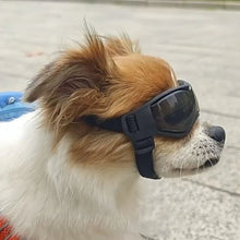 Windproof Dog Summer Sunglasses, product photo 3 of 11