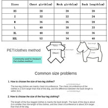 Windproof Padded Dog Coat for Warmth, product photo 10 of 10