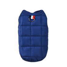 Windproof Padded Dog Coat for Warmth in Blue