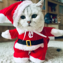Alternate view of the Winter Christmas Santa Outfit for Pets