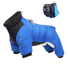 Winter Dog Jacket for Warmth, product photo 6 of 8