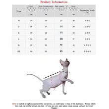 Winter Hairless Cat Sweater & Warm Clothes, product photo 3 of 3