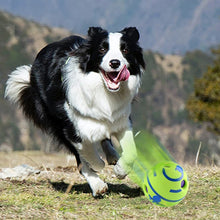 dog playing wth wobble wag giggle ball