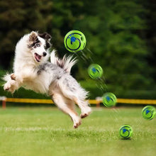 dog playing with a bouncing wobble wag giggle ball
