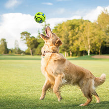 dog playing with wobble wag giggle ballon a field