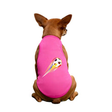 Small brown dog wearing a bright pink soccer-themed shirt with a colourful football graphic on the back