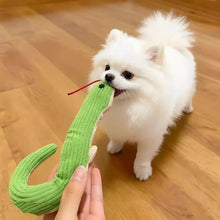 White Pomeranian playing tug with a green snake plush dog toy featuring ribbed fabric and a red tongue