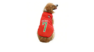 Golden Retriever wearing a red Portugal 7 football-style dog jersey with green trim