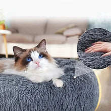 Ragdoll cat resting in a grey fluffy donut cat bed with a soft shaggy surface and raised cushioned sides