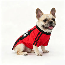 French Bulldog wearing a red and black soccer-style dog shirt with football graphic and striped detailing