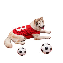 Husky wearing a red football-style dog jersey while lying beside two soccer balls
