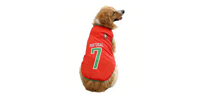 Golden Retriever wearing a red Portugal 7 football-style dog shirt with green trim