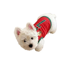White Westie wearing a red Portugal number 7 soccer-style dog jersey with green trim