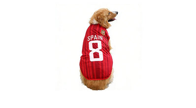 Golden Retriever wearing a red Spain 8 football-style dog jersey with dark red stripes