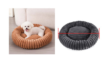 Small white dog resting in a brown ribbed donut dog bed beside a grey version with raised cushioned sides and a padded centre
