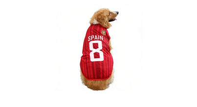 Golden Retriever wearing a red Spain 8 football-style dog jersey with dark striped detailing