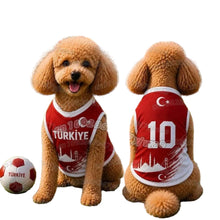 Brown poodle wearing a red and white Türkiye 10 football-style dog jersey beside a matching soccer ball