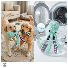 Two dogs playing with a mint green plush octopus dog toy beside an image showing the toy being washed in water near a washing machine