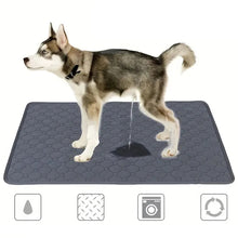 Grey washable waterproof dog pee pad with absorbent quilted surface and non-slip backing, shown with a Husky