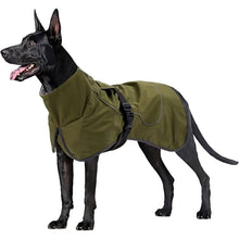 Waterproof Dog Jacket with Fleece Lining in Green
