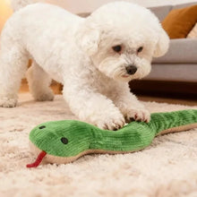 White dog playing with a green snake plush dog toy featuring ribbed fabric, black eyes and a red tongue