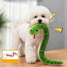 White dog holding a green squeaky snake plush toy with ribbed fabric, black eyes and a red tongue