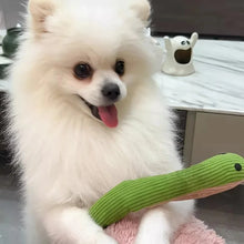 White Pomeranian sitting with a green snake plush dog toy featuring ribbed fabric and a soft curved body