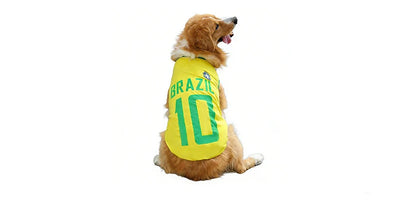 Golden Retriever wearing a yellow Brazil 10 football-style dog jersey with green lettering