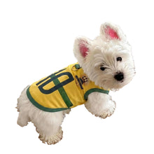 White Westie wearing a yellow Brazil number 10 soccer-style dog jersey with green trim