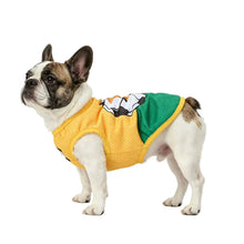 French Bulldog wearing a yellow and green mesh soccer-style dog jersey with football graphics
