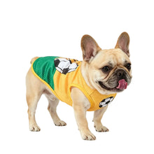 French Bulldog wearing a yellow and green mesh soccer-style dog jersey with football graphics